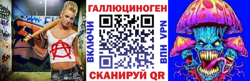 где купить наркотик Торжок Псилоцибиновые грибы MAGIC MUSHROOMS