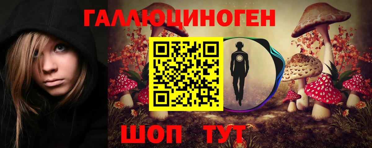 Галлюциногенные грибы Psilocybe Торжок