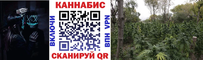 наркошоп  Торжок  Бошки Шишки гибрид 